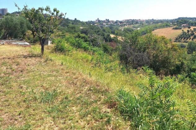 Immobile in asta di 27173 m² in vendita a Macerata - Foto 3