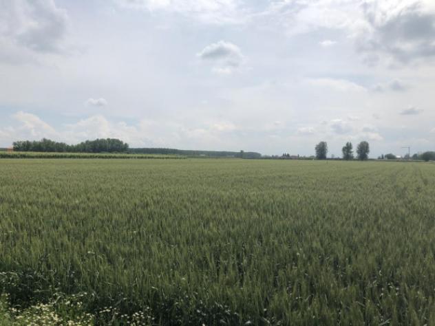 Terreno di 28500 m² in vendita a Novi di Modena