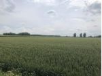 Terreno di 28500 m² in vendita a Novi di Modena
