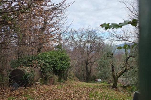 Terreno di 6110 m² in vendita a Velletri - Foto 6