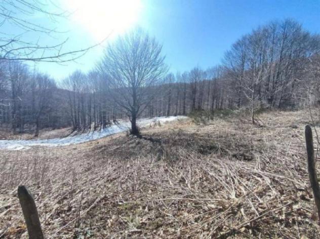 Immobile in asta di 130855 m² in vendita a Verghereto - Foto 17