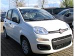 Fiat Panda 1.0 (NOLEGGIO con o senza ANTICIPO