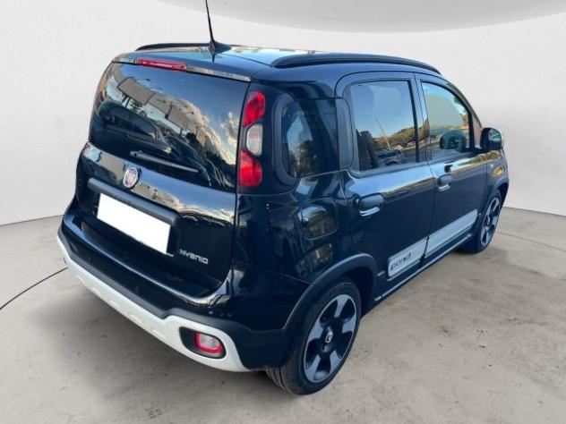 FIAT Panda Cross Panda Cross 1.0 FireFly S&S Hybrid rif. 23656662 - Foto 3