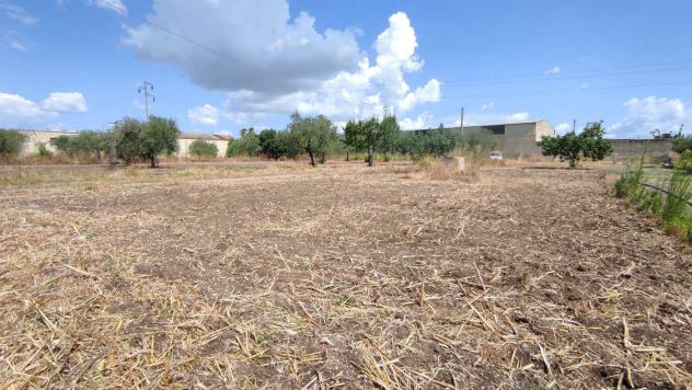 Terreno Agricolo - San Severo . Rif.: Cod. rif 3294216VCG - Foto 17