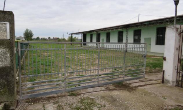 Immobile in asta di 1 m² con più di 5 locali in vendita a Cerea - Foto 3