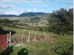 AZIENDA AGRICOLA  40 ETTARI TERRENO