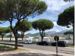 Ufficio in vendita a Massa 2000 mq Rif: 1416933