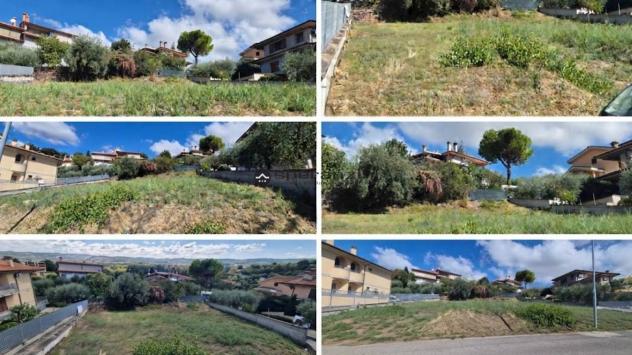 CALCINELLI: Lotto edificabile esclusivo in zona residenziale ? calcinelli di saltara-
nella tranquilla e rinomata zona residenziale di calcinelli di - Foto 5