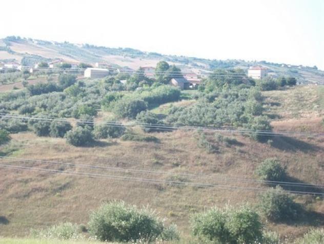 Uliveto in vendita a Lanciano - Foto 20