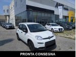 FIAT Panda 1.0 FireFly S&S Hybrid rif. 23799160