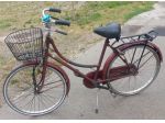 Bici classica da 24  con cestino