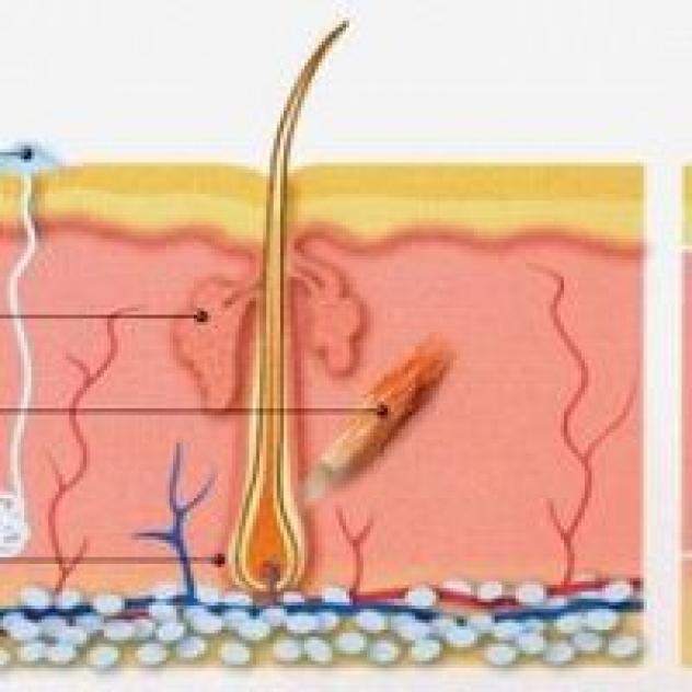 Dermatologo e Medicina Estetica Dott. Bettini Daniele
