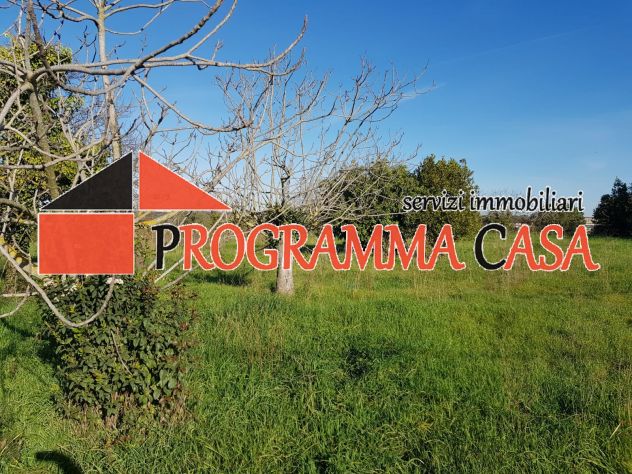 POMEZIA ZONA CASTAGNETTA VIA TIGLI TERRENO PROX EDIFICBILITA 2300 MQ - Foto 4
