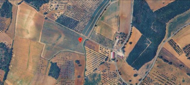 Immobile in asta di 3922 m² in vendita a Roggiano Gravina - Foto 10