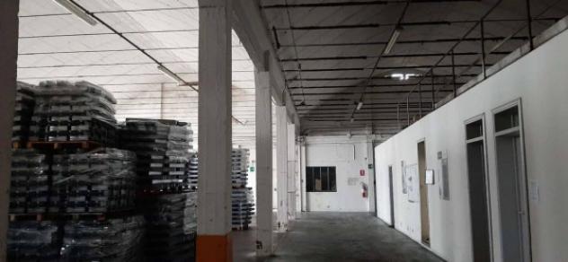 Immobile in asta di 7629 m² in vendita a Loreto - Foto 10