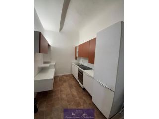 Bilocale in affitto a Firenze, Oltrarno