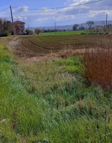 Immobile in asta di 2045 m² in vendita a Cartoceto - Foto 8