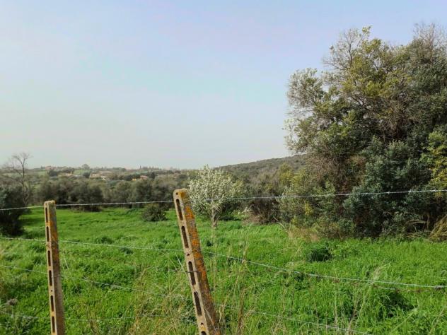 Agricolo in Via Casale dell'Oliveto - Foto 9