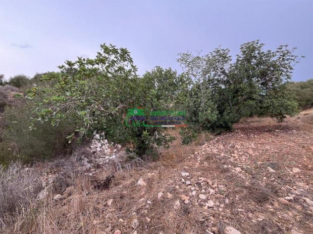 Rif.2628 - Terreno edificabile Vista mare a Cava D'Aliga - Foto 8