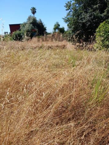 Terreno Edificabile in vendita a Siracusa, Tremmilia - Foto 3