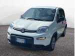 FIAT Pandina New PANDA Panda Serie 7 1.0 70cv HybridPanda