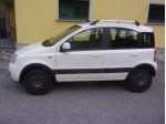 FIAT Panda II 1.3 mjt 16v Climbing 4x4 75cv rif. 24055036