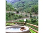 Tenuta Bosco