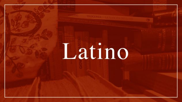DEBITO IN LATINO?? RECUPERO ASSICURATO!!!