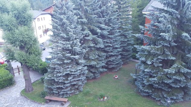 Grazioso trilocale + box auto a Bardonecchia (TO) uso turistico a lungo termine - Foto 10