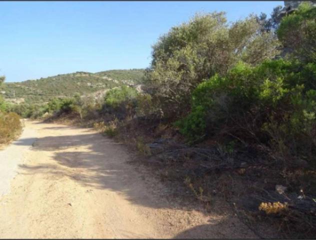 Immobile in asta di 258216 m² in vendita a Loiri Porto San Paolo - Foto 13