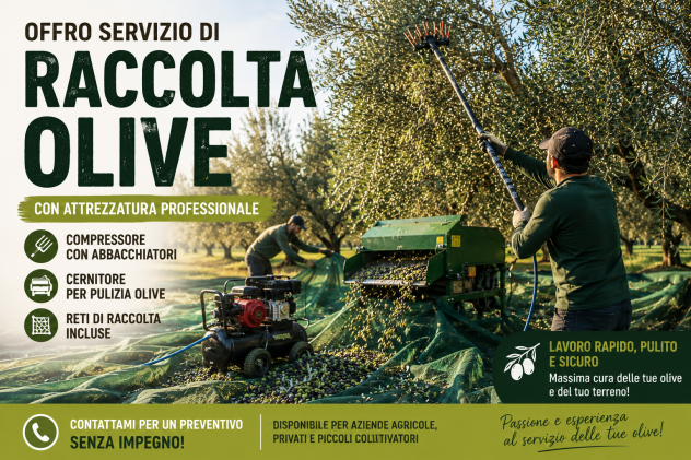 Raccolta Olive