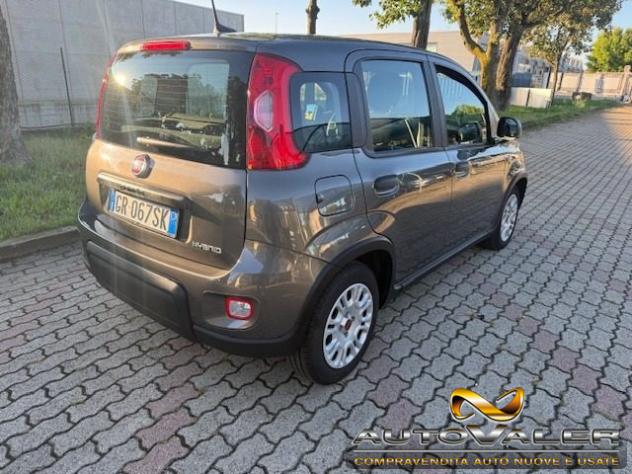 FIAT Panda 1.0 FireFly S&S Hybrid rif. 23900915 - Foto 3