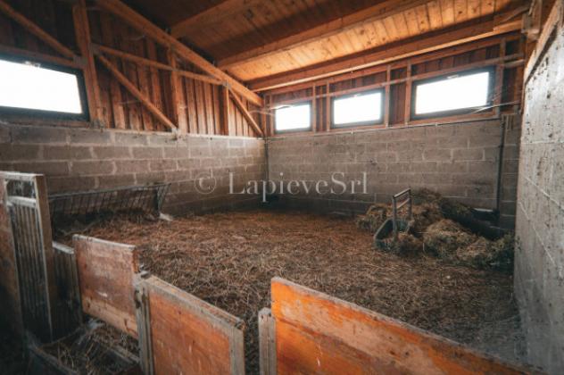 Rustico / Casale di 70000 m² con più di 5 locali in vendita a Fubine Monferrato - Foto 6