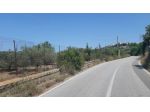 Terreno agricolo 1800 mq