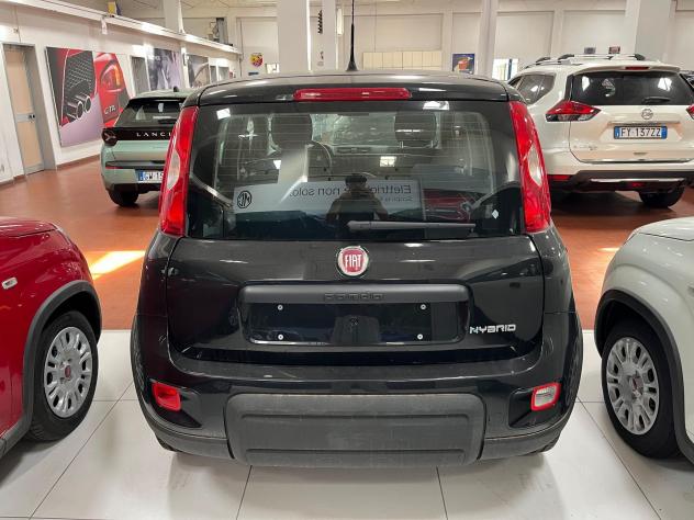 FIAT Panda 1.0 FireFly S&S Hybrid - Foto 6