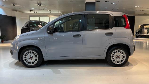 FIAT PANDA 1.0 S&S HYBRID - IVA - 2022 - Foto 7