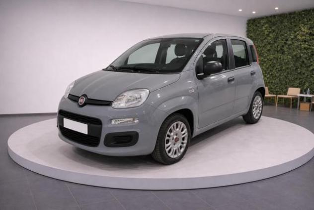 FIAT Panda III 1.0 FireFly 70Cv S&S Hybrid Easy 5 posti rif. 23909641