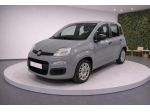 FIAT Panda III 1.0 FireFly 70Cv S&S Hybrid Easy 5 posti rif. 23909641