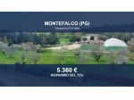Immobile in asta di 7512 m² in vendita a Montefalco