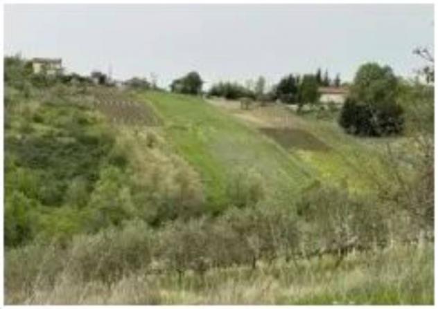 Immobile in asta di 11603 m² in vendita a Ruoti - Foto 10