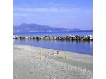 Zia Piera - Blue Seagull di Favalesi Claudia e C. S.n.c.