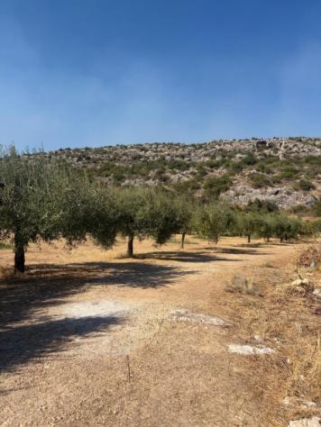 Terreno agricolo di 3 ettari a 4 km da Floridia - Foto 2