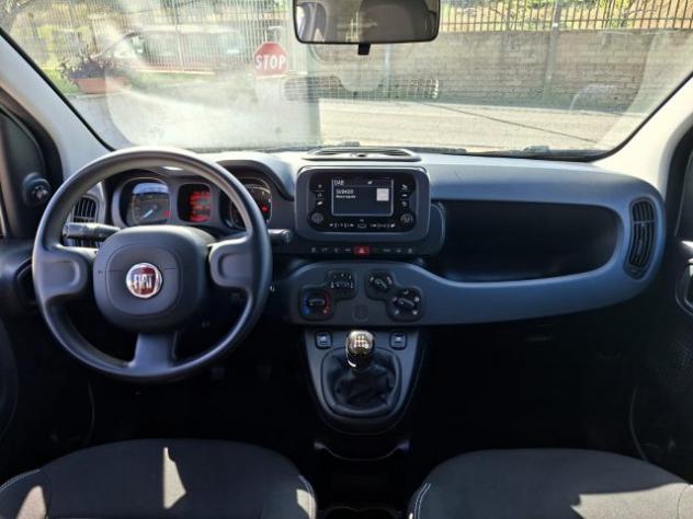 FIAT Panda 1.0 FireFly Hybrid CITY LIFE 5POSTI PREZZO REALE! rif. 24134112 - Foto 6