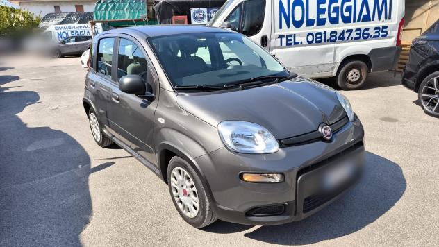 Fiat Panda 1.0 FireFly Hybrid City Life 2022 USATO - Foto 5