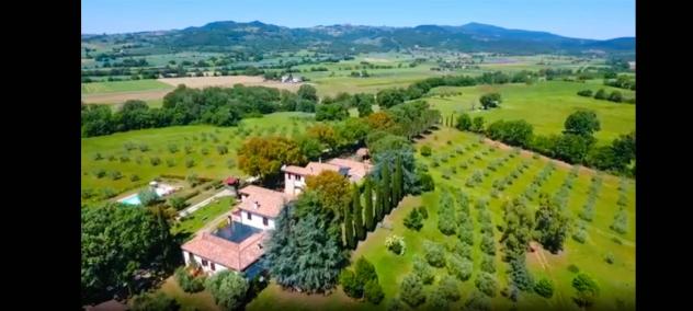 Vendita Rustico casale da 680 mq con giardino - Foto 3