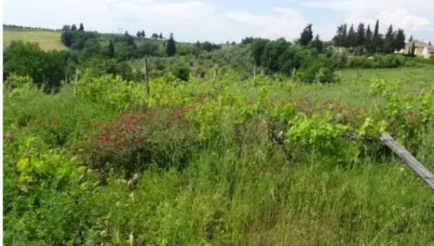 Immobile in asta di 21514 m² in vendita a Montespertoli - Foto 3