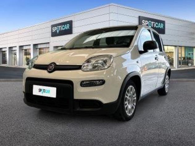 FIAT Panda Hybrid 1.0 70cv S&amp;S Hybrid Icon