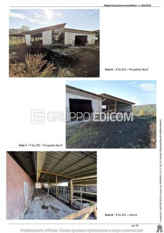 Fabbricati per attività agricole in vendita a Montebuono - Rif. 4547955 - Foto 4