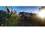Toscana Appartamento  con giardino e piscina