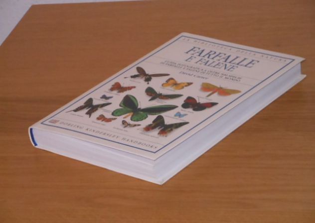 FARFALLE E FALENE, David Carter, LA BIBLIOTECA DELLA NATURA N. 1. - Foto 5